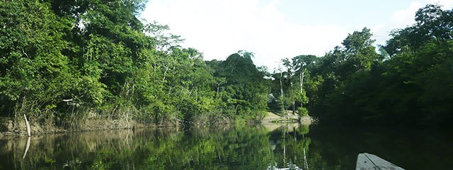 Tour rio Yarapa